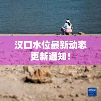 汉口水位最新动态更新通知！