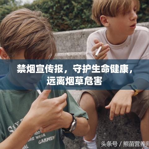 禁烟宣传报，守护生命健康，远离烟草危害