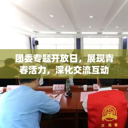 团委专题开放日，展现青春活力，深化交流互动