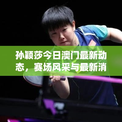 孙颖莎今日澳门最新动态，赛场风采与最新消息速递