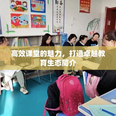 高效课堂的魅力，打造卓越教育生态简介