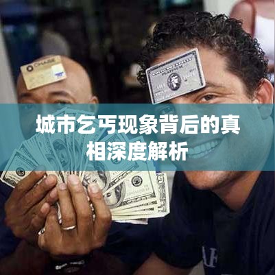 城市乞丐现象背后的真相深度解析