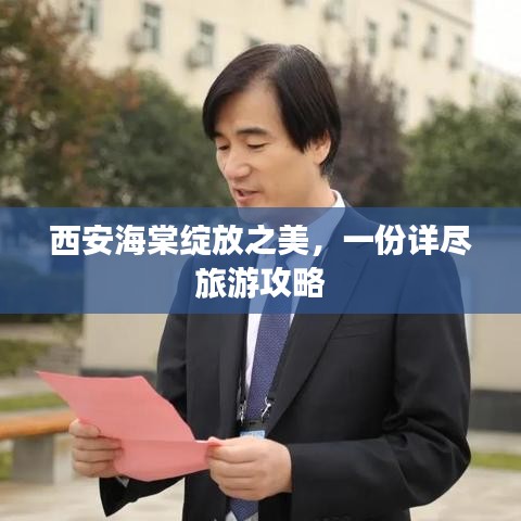 西安海棠绽放之美，一份详尽旅游攻略