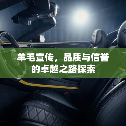 羊毛宣传，品质与信誉的卓越之路探索