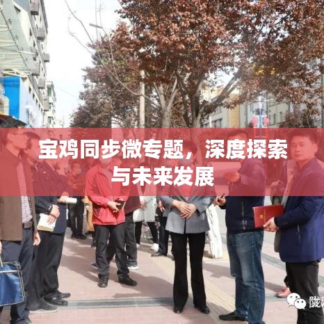 宝鸡同步微专题，深度探索与未来发展