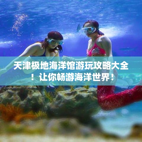 天津极地海洋馆游玩攻略大全！让你畅游海洋世界！