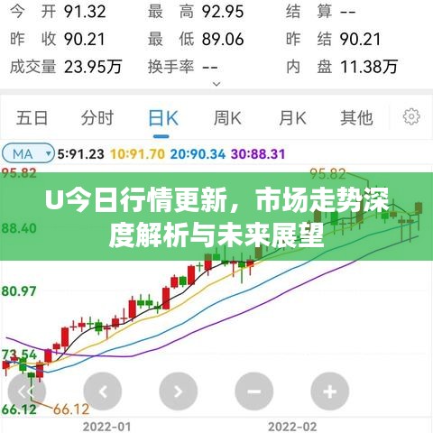 U今日行情更新，市场走势深度解析与未来展望