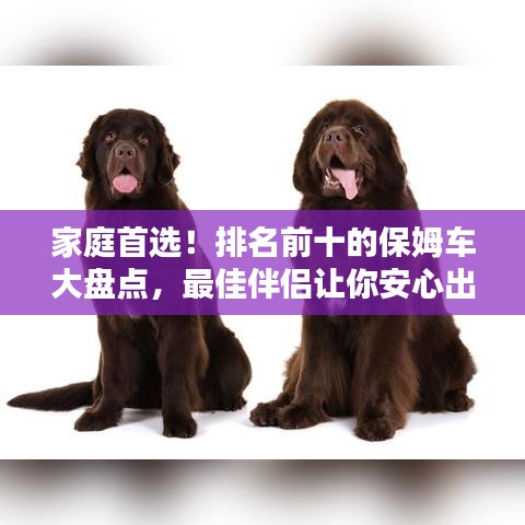家庭首选！排名前十的保姆车大盘点，最佳伴侣让你安心出行！