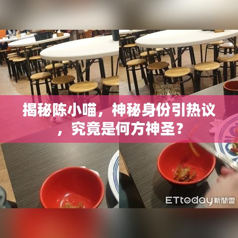 揭秘陈小喵，神秘身份引热议，究竟是何方神圣？