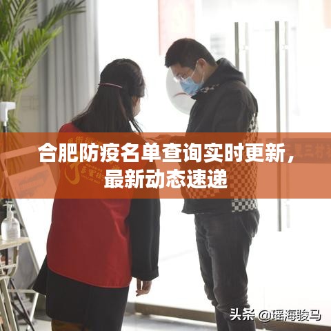 合肥防疫名单查询实时更新，最新动态速递