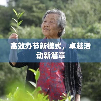 高效办节新模式，卓越活动新篇章