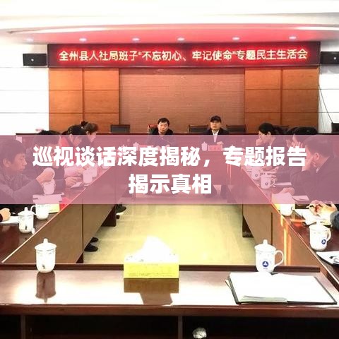 巡视谈话深度揭秘，专题报告揭示真相