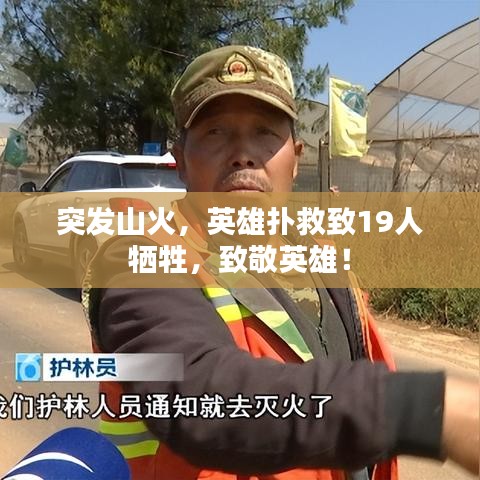 突发山火，英雄扑救致19人牺牲，致敬英雄！