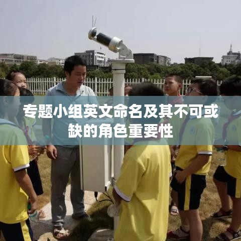 专题小组英文命名及其不可或缺的角色重要性