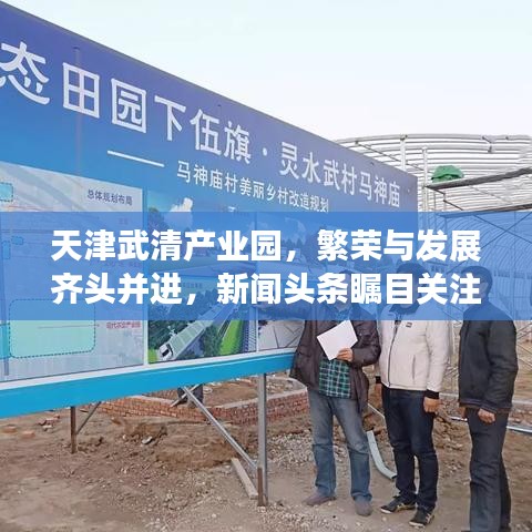 天津武清产业园，繁荣与发展齐头并进，新闻头条瞩目关注
