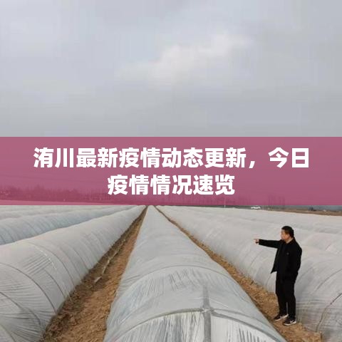 新闻中心 第5页