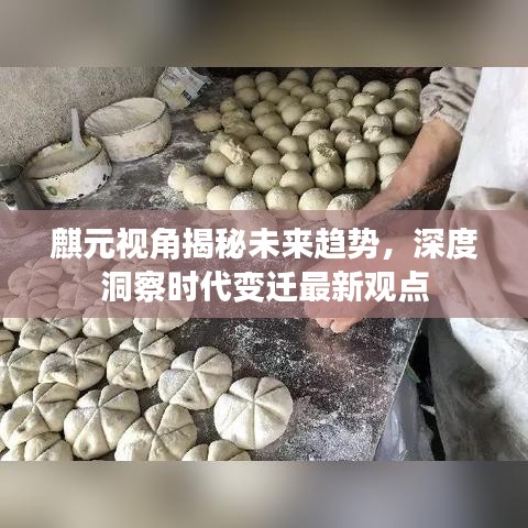 麒元视角揭秘未来趋势，深度洞察时代变迁最新观点