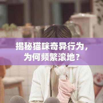 揭秘猫咪奇异行为，为何频繁滚地？