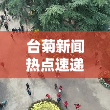 台菊新闻热点速递，最新头条报道抢先看！