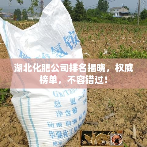湖北化肥公司排名揭晓，权威榜单，不容错过！