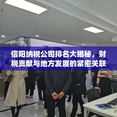 信阳纳税公司排名大揭秘，财税贡献与地方发展的紧密关联
