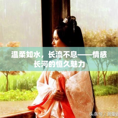 温柔如水，长流不息——情感长河的恒久魅力