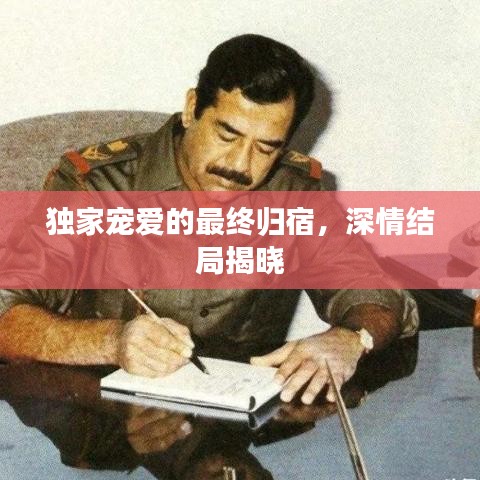 独家宠爱的最终归宿，深情结局揭晓