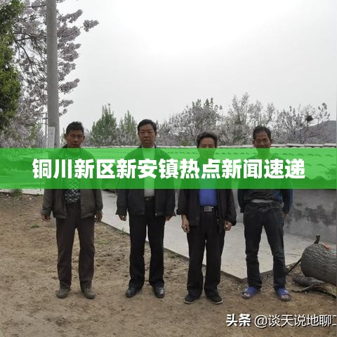 铜川新区新安镇热点新闻速递