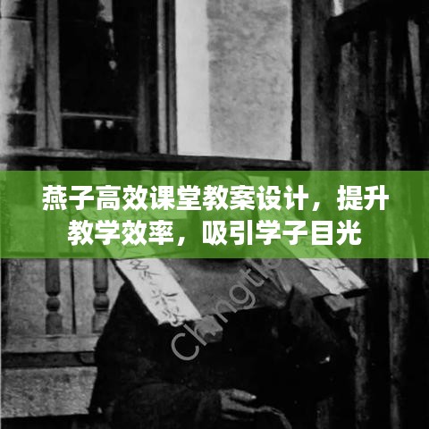 燕子高效课堂教案设计，提升教学效率，吸引学子目光