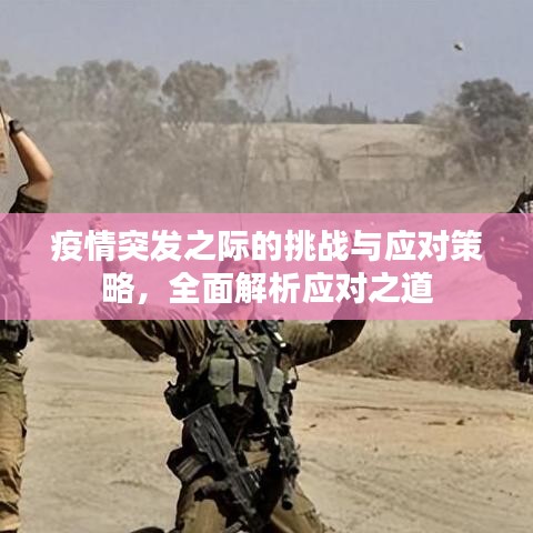 疫情突发之际的挑战与应对策略，全面解析应对之道