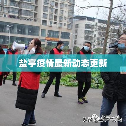 盐亭疫情最新动态更新