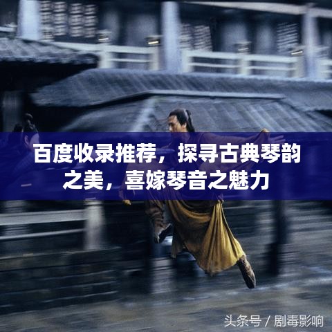 见缝就钻