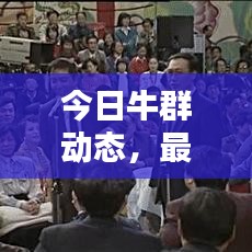 今日牛群动态，最新消息视频汇总