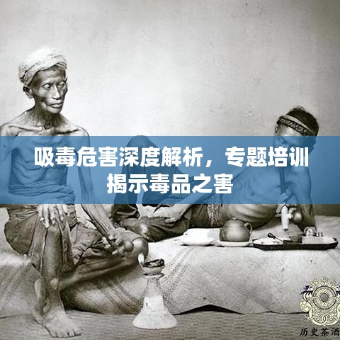 吸毒危害深度解析，专题培训揭示毒品之害