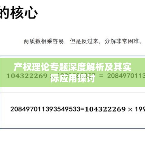 产权理论专题深度解析及其实际应用探讨
