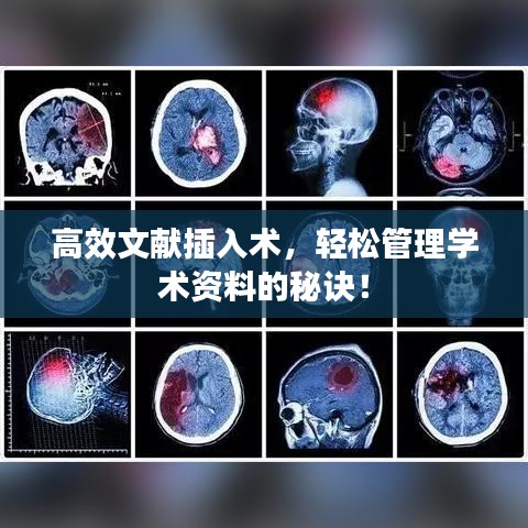 高效文献插入术，轻松管理学术资料的秘诀！
