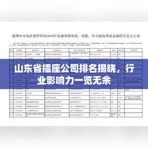 山东省插座公司排名揭晓，行业影响力一览无余