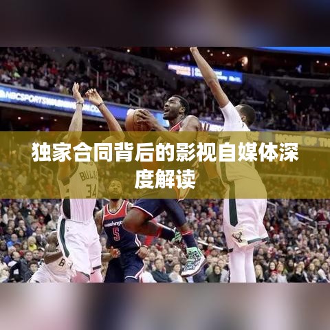 独家合同背后的影视自媒体深度解读