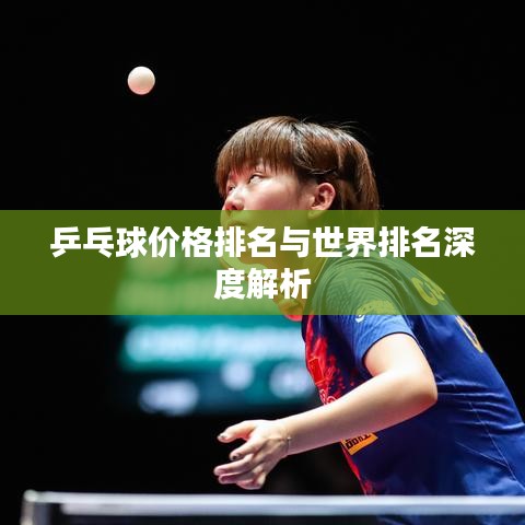乒乓球价格排名与世界排名深度解析