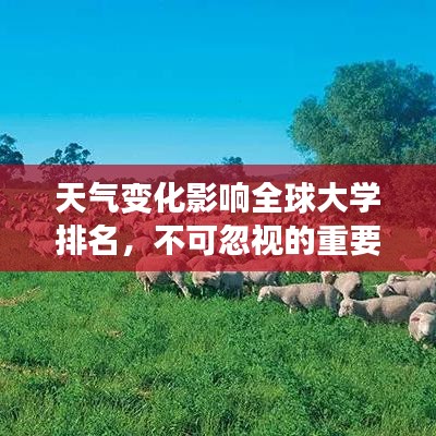 天气变化影响全球大学排名，不可忽视的重要因素！