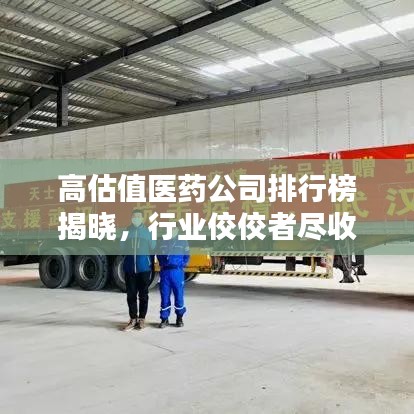 高估值医药公司排行榜揭晓，行业佼佼者尽收眼底！
