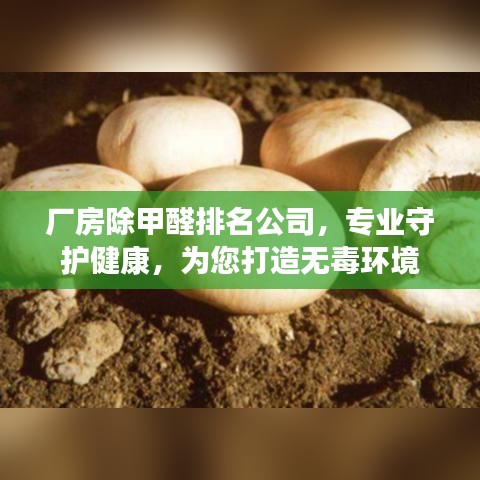 厂房除甲醛排名公司，专业守护健康，为您打造无毒环境