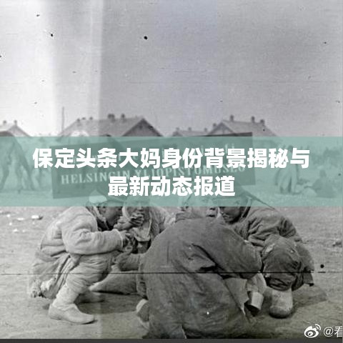 保定头条大妈身份背景揭秘与最新动态报道