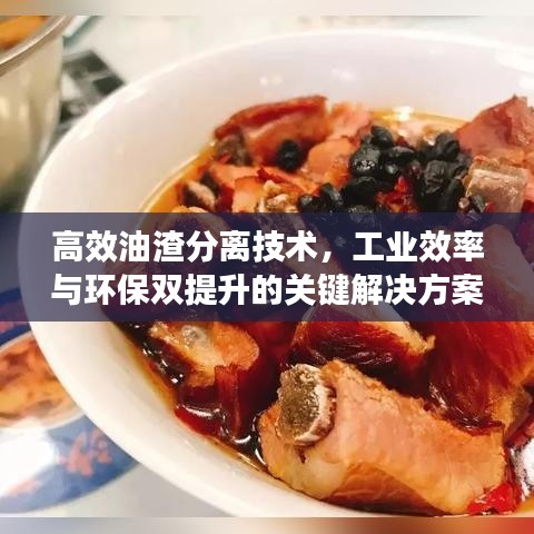 高效油渣分离技术，工业效率与环保双提升的关键解决方案