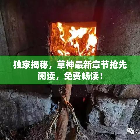 独家揭秘，草神最新章节抢先阅读，免费畅读！