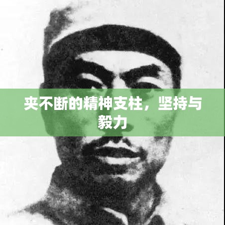 夹不断的精神支柱，坚持与毅力