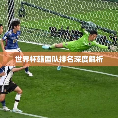 世界杯韩国队排名深度解析