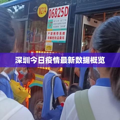深圳今日疫情最新数据概览