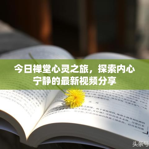 今日禅堂心灵之旅，探索内心宁静的最新视频分享