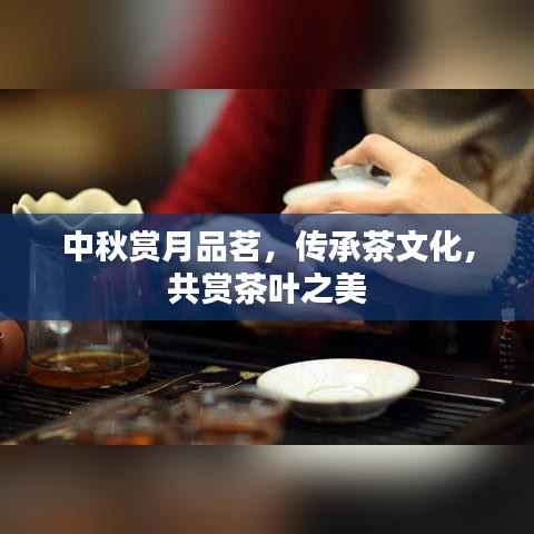 中秋赏月品茗，传承茶文化，共赏茶叶之美